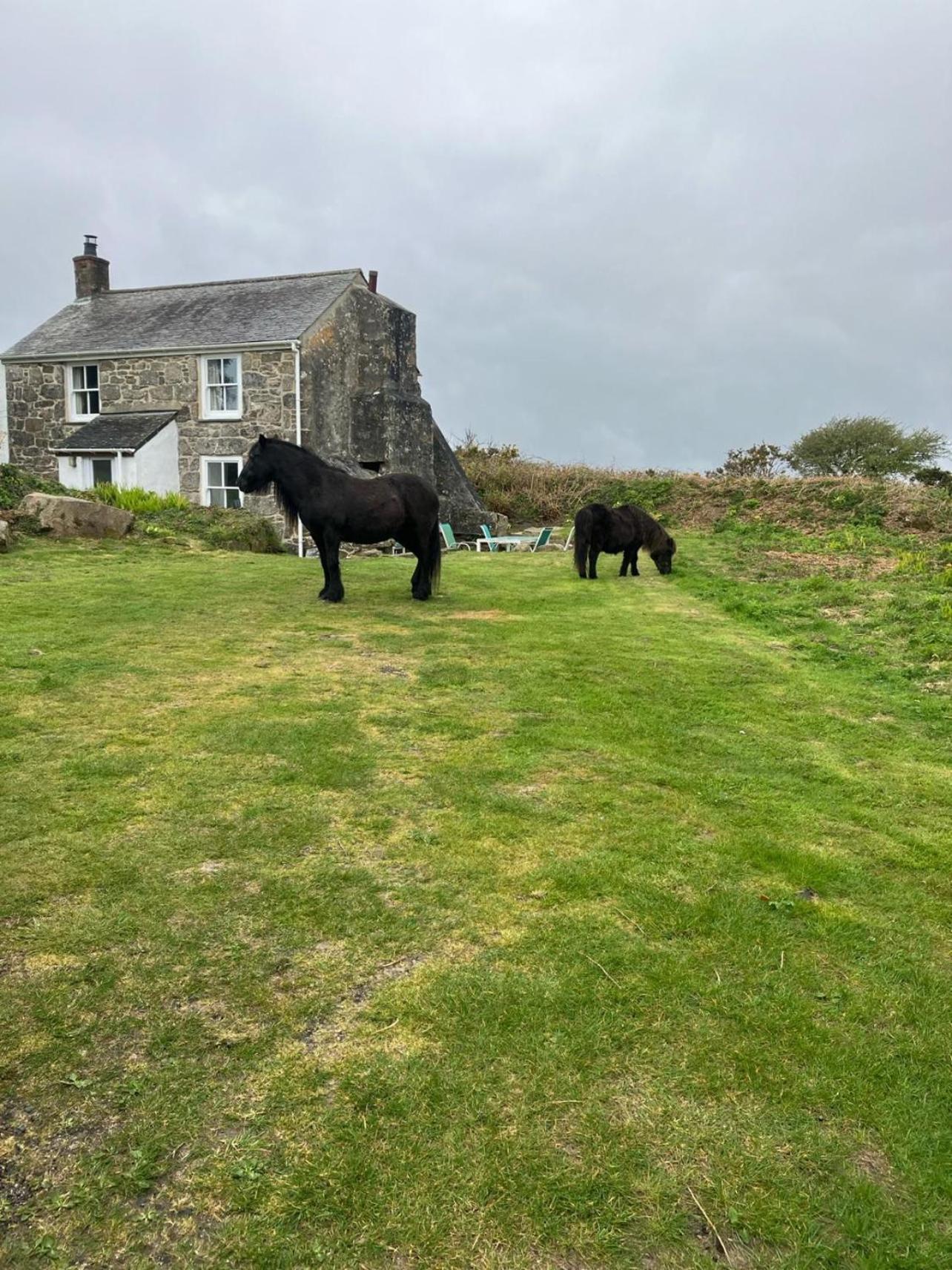 Kitts Cottage, Redruth, Cosy Cornish Retreat Esterno foto