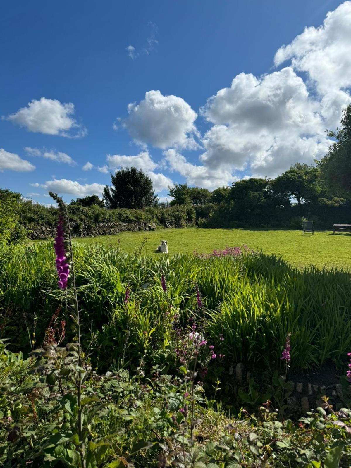 Kitts Cottage, Redruth, Cosy Cornish Retreat Esterno foto