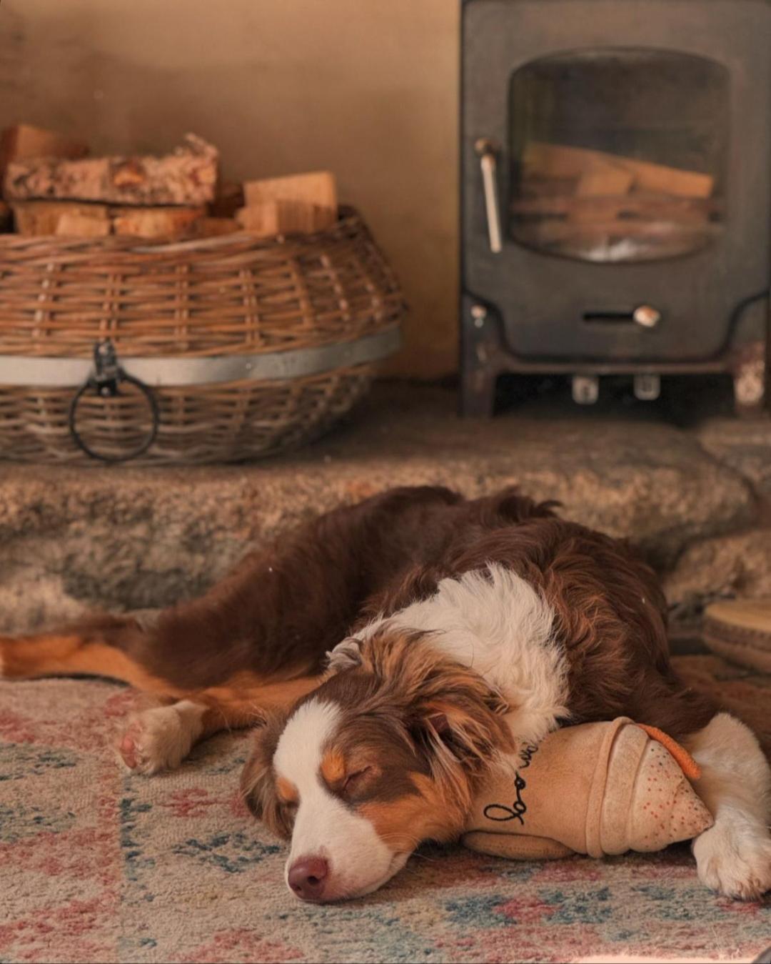 Kitts Cottage, Redruth, Cosy Cornish Retreat Esterno foto